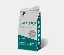 可以玩德州扑克的游戏