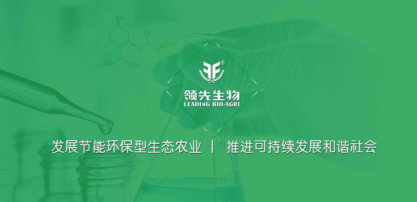 免费德州扑克游戏
